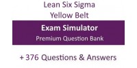 LSS Yellow Belt Mock Exam